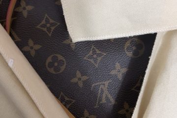 Louis Vuitton M46203 CarryAll PM photo review