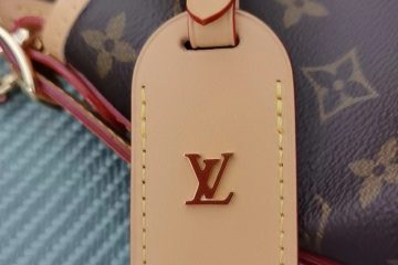 Louis Vuitton M46203 CarryAll PM photo review